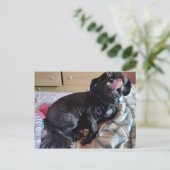 Flicker of the Tongue ポストカード (スタンド正面)