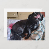 Flicker of the Tongue ポストカード (正面/裏面)