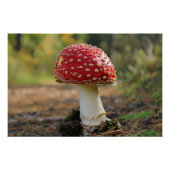 Fliegenpilz im Wald  Kunstvolles Poster ポスター (正面)