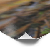 Fliegenpilz im Wald  Kunstvolles Poster ポスター (コーナー)