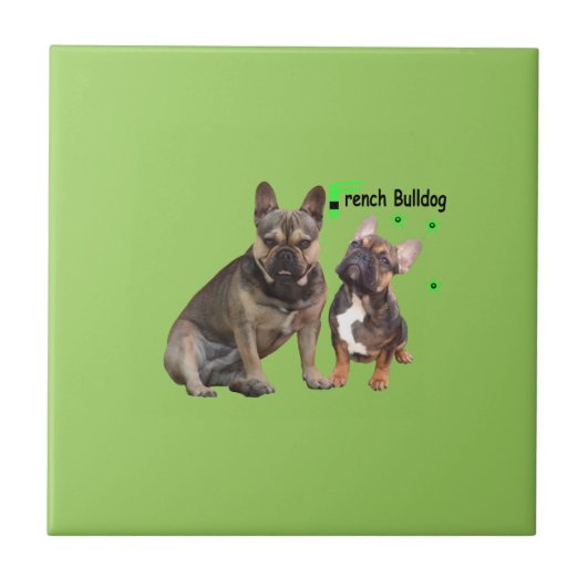 Fliese mit französische Bulldoggen タイル (正面)