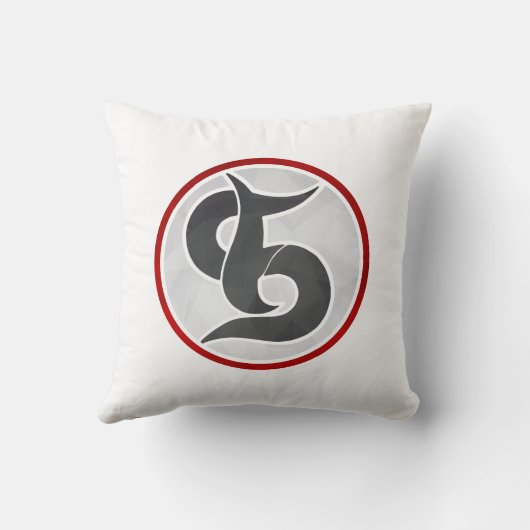 FLIP SIDE TEX PRO クッション (裏面)