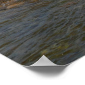 Floating Down the Snake River II ポスター (角)