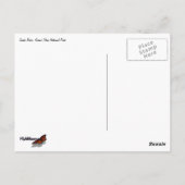 Floating Down the Snake River II ポストカード (裏面)