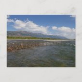 Floating Down the Snake River II ポストカード (正面)