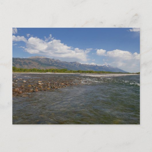 Floating Down the Snake River II ポストカード (正面)