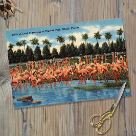 Flock of Coral Flamingos at Hialeah Park Miami Fl 薄葉紙