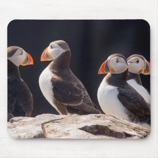 Flock of Puffins マウスパッド (正面)
