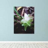 flor de açafrão da-terra キャンバスプリント (インサイチュ (ウッドフロア))