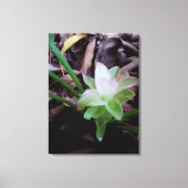 flor de açafrão da-terra キャンバスプリント (正面)