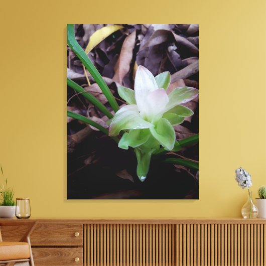 flor de açafrão da-terra キャンバスプリント (インサイチュ (リビング))