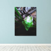 flor de açafrão da terra キャンバスプリント (インサイチュ (ウッドフロア))