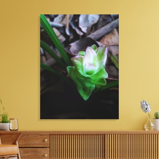 flor de açafrão da terra キャンバスプリント (インサイチュ (リビング))