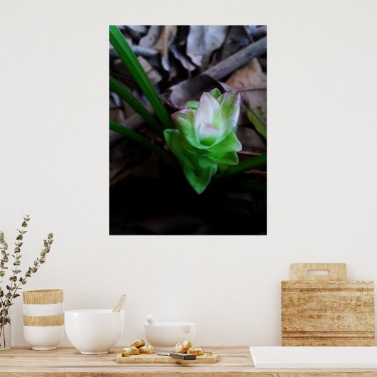 flor de açafrão da terra ポスター (キッチン)