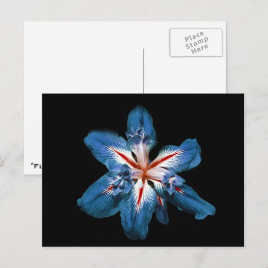 "Flor de la Mar" – はがき (正面/裏面)