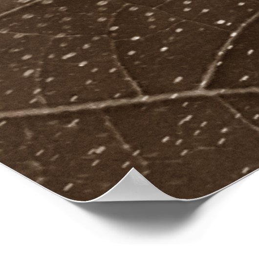 flor de papel ポスター (角)