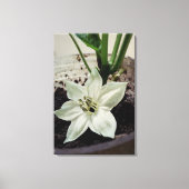 flor de pimentão キャンバスプリント (正面)