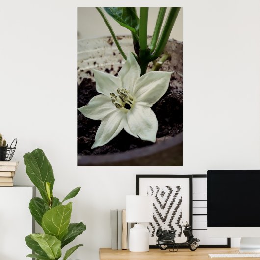 flor de pimentão ポスター (ホームオフィス)