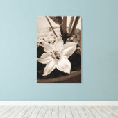 flor de pimentão - old キャンバスプリント (インサイチュ (ウッドフロア))