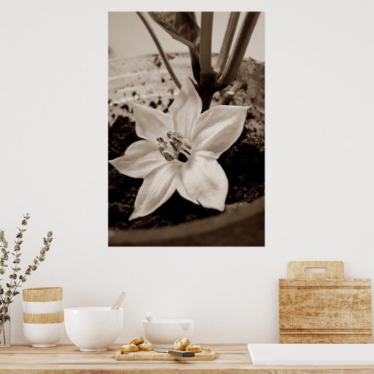 flor de pimentão - old ポスター (キッチン)