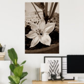 flor de pimentão - old ポスター (ホームオフィス)