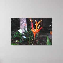 flor laranjada キャンバスプリント