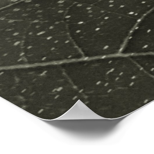 flor morta ポスター (角)