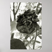 flor morta ポスター (正面)