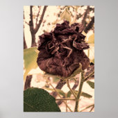 flor mortal ポスター (正面)