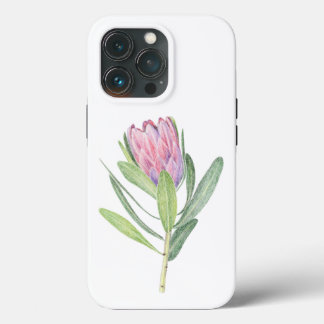 Flor Protea iPhone 13 Proケース