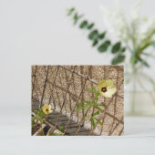 Flor Quiabo Flower green & yellow ポストカード (スタンド正面)