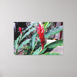 flor vermelha キャンバスプリント