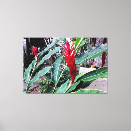 flor vermelha キャンバスプリント (正面)