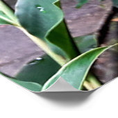 flor vermelha ポスター (角)