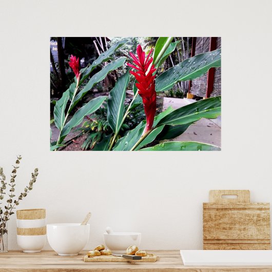 flor vermelha ポスター (キッチン)