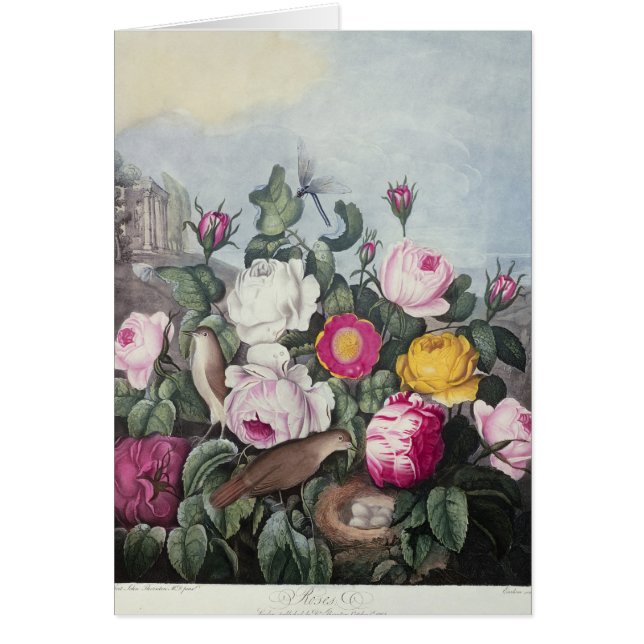 「Floraの寺院からのバラ、 (正面)