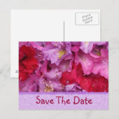 Floraファンシー保存カード 案内ポストカード (正面/裏面)