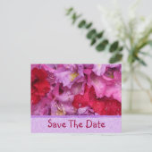 Floraファンシー保存カード 案内ポストカード (スタンド正面)