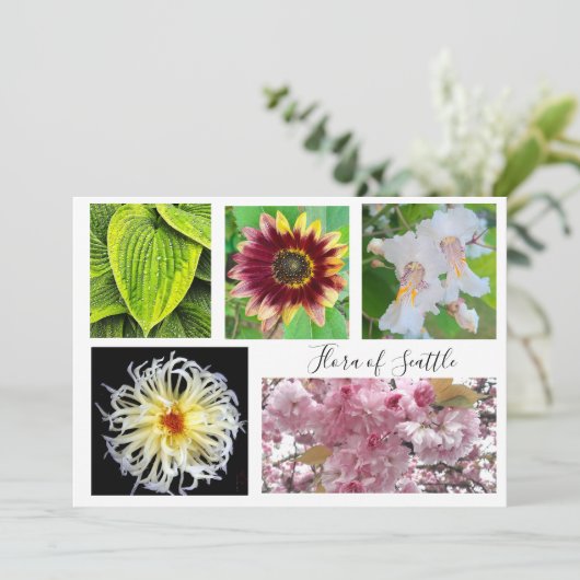 flora of Seattle 招待状 (スタンド正面)