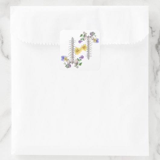 Floral Anatomy - Vertebrae, Hip Bone スクエアシール (バッグ)