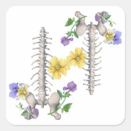 Floral Anatomy - Vertebrae, Hip Bone スクエアシール