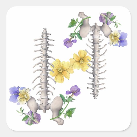 Floral Anatomy - Vertebrae, Hip Bone スクエアシール (正面)