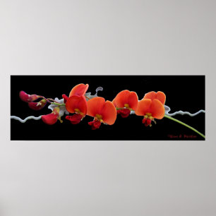 Floral Art Poster ポスター