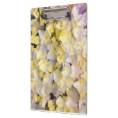 Floral clipboard クリップボード (左)