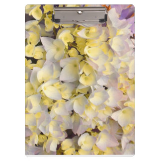 Floral clipboard  クリップボード