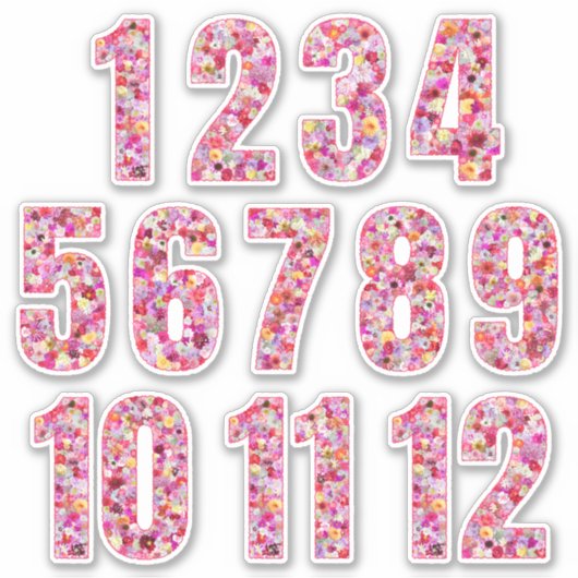 Floral Colorful Twelve Months Botanical Pinkish シール (正面)