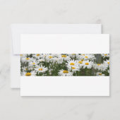 Floral Daisies save The Date Invitation セーブザデート (裏面)