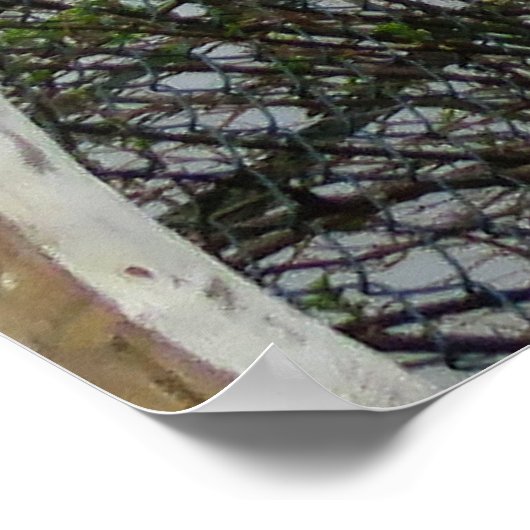 Floral Footbridge ポスター (角)