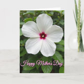 Floral Fuchsia Bloom Card カード (正面)