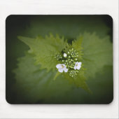 Floral Nature Photo マウスパッド (正面)